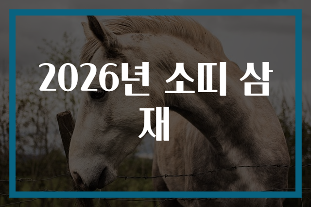 2026년 소띠 삼재