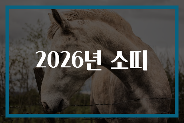 2026년 소띠