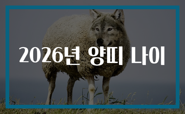 2026년 양띠 나이
