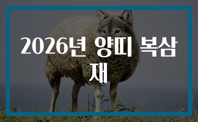 2026년 양띠 복삼재