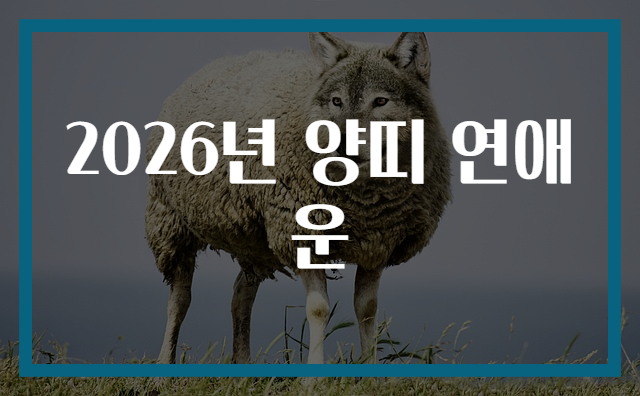 2026년 양띠 연애운