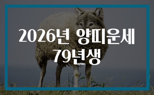 2026년 양띠운세 79년생