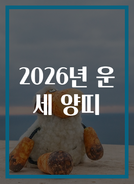 2026년 운세 양띠