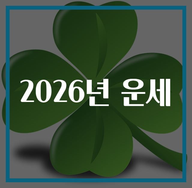 2026년 운세