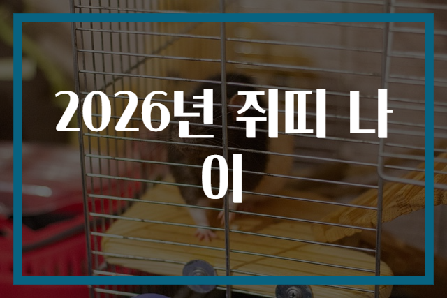 2026년 쥐띠 나이