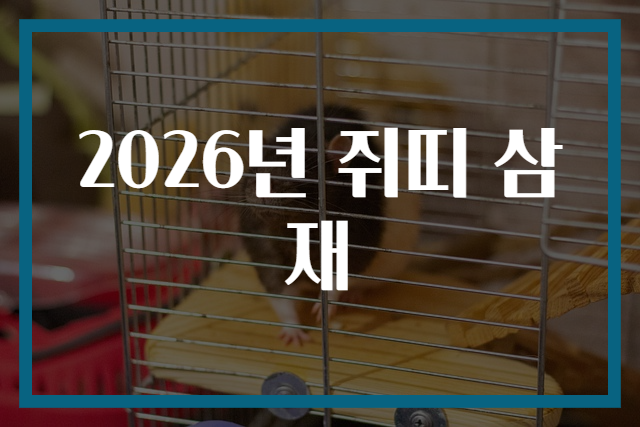 2026년 쥐띠 삼재