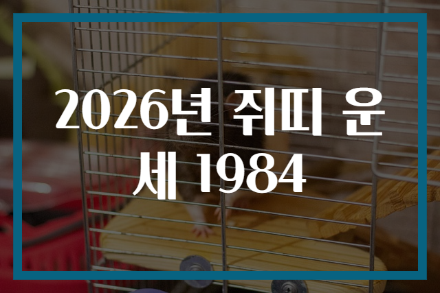 2026년 쥐띠 운세 1984