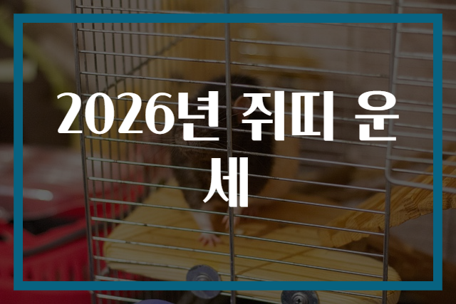 2026년 쥐띠 운세