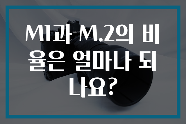 M1과 M.2의 비율은 얼마나 되나요?